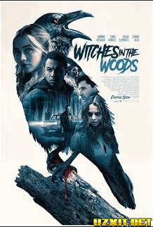 Ведьмы в лесу (2019)