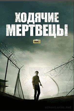 Ходячие мертвецы (1-9 сезон) (2013-2019)