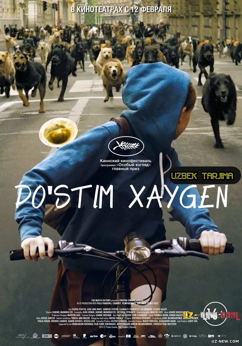 Do'stim Xaygen / Достим хайген (2014) Uzbek tilida